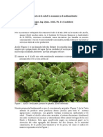 Azolla Salud Economía Medioambiente