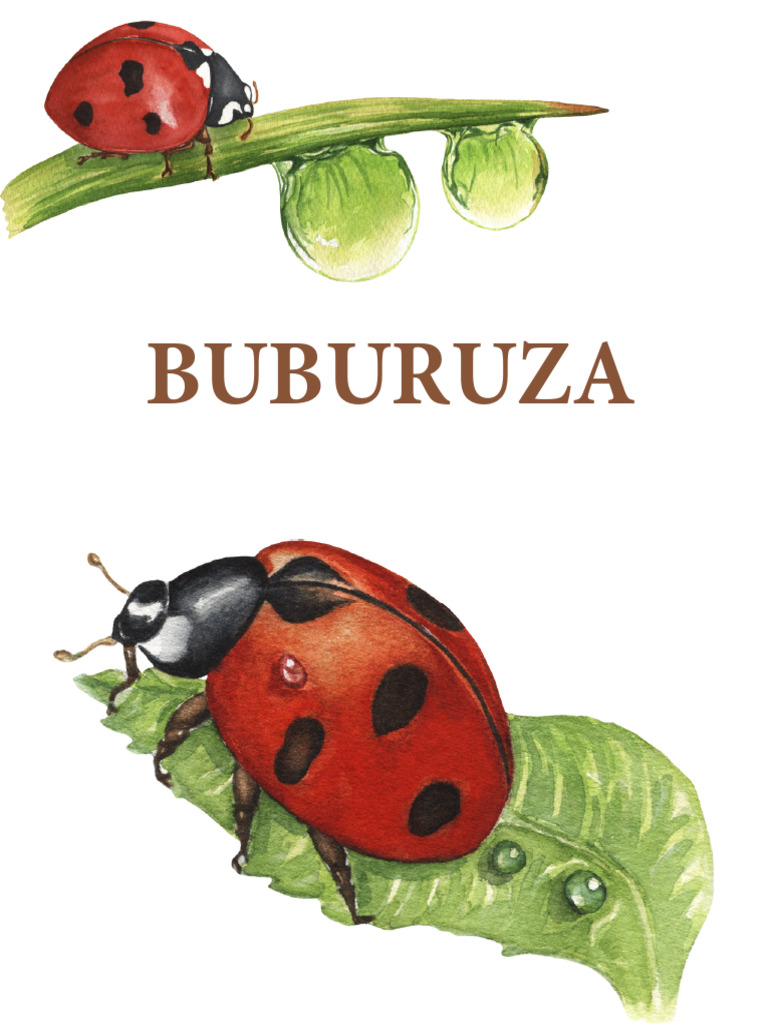 Bubu Ruza | PDF