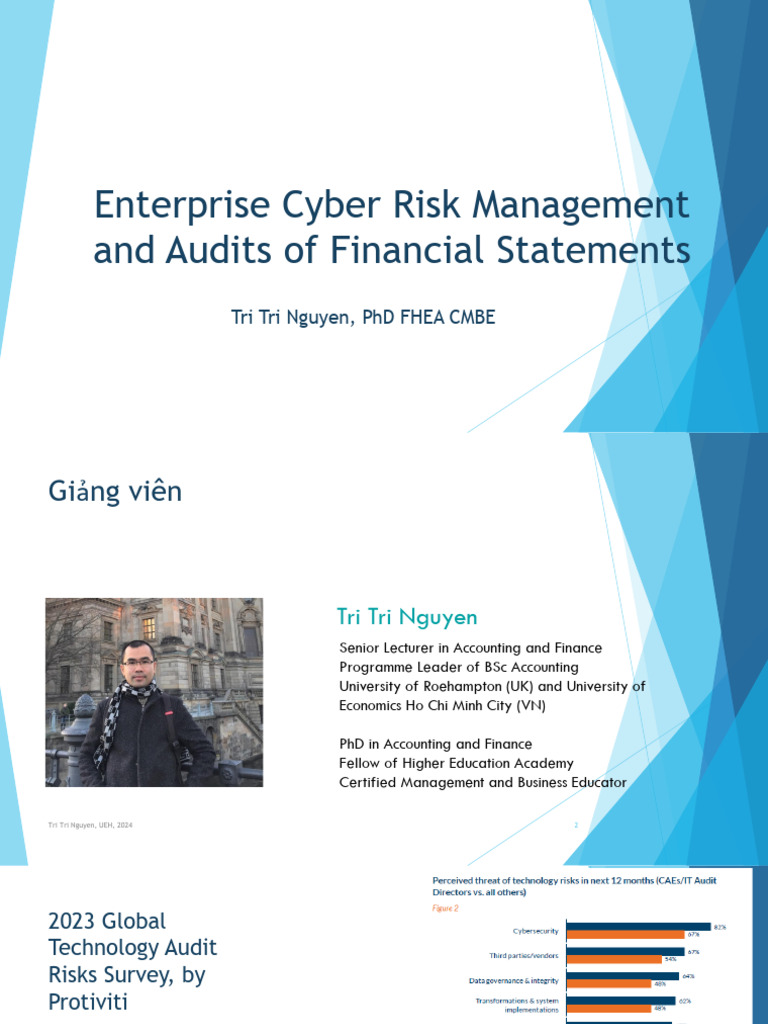 Tri Nguyen - Cyber Risk Management and Audits | PDF | Audit | Internal ...