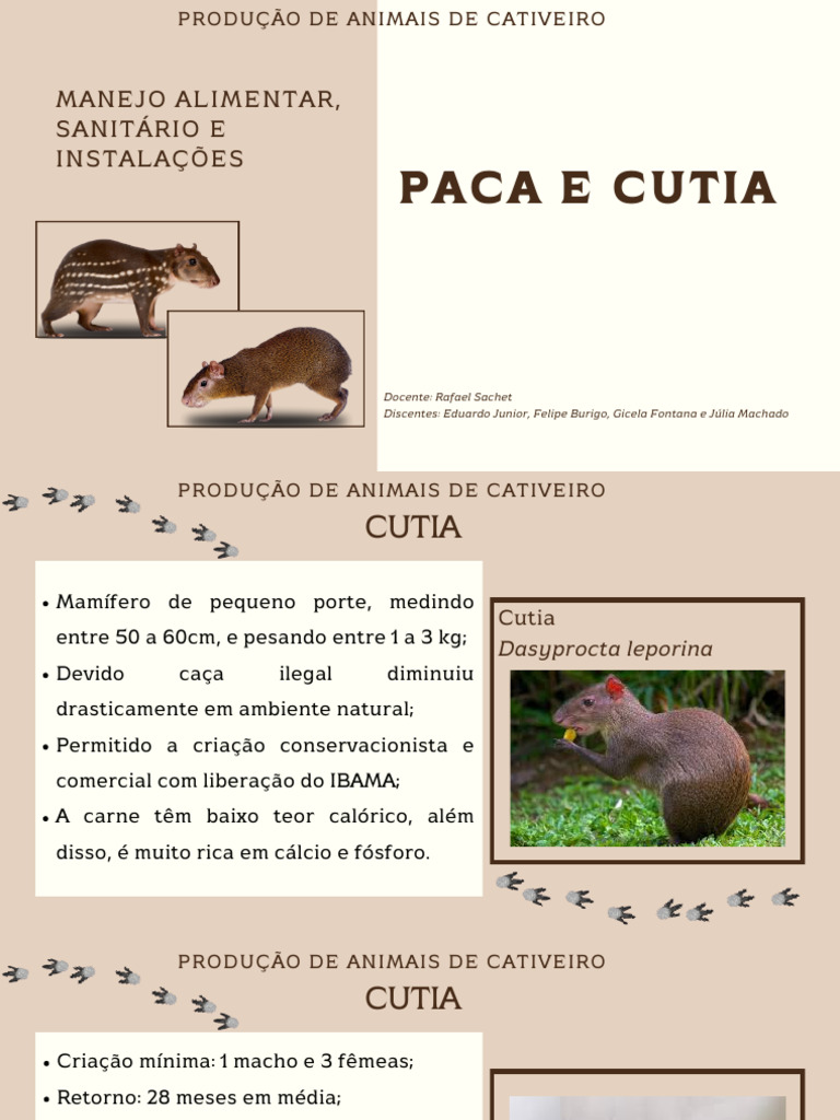 Manejo de Pacas e Cutias em Cativeiro | PDF