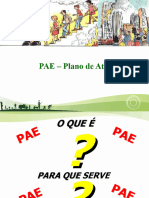 Treinamento Pae