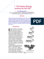 ATP: The Perfect Energy Currency For The Cell: Jerry Bergman, PH.D