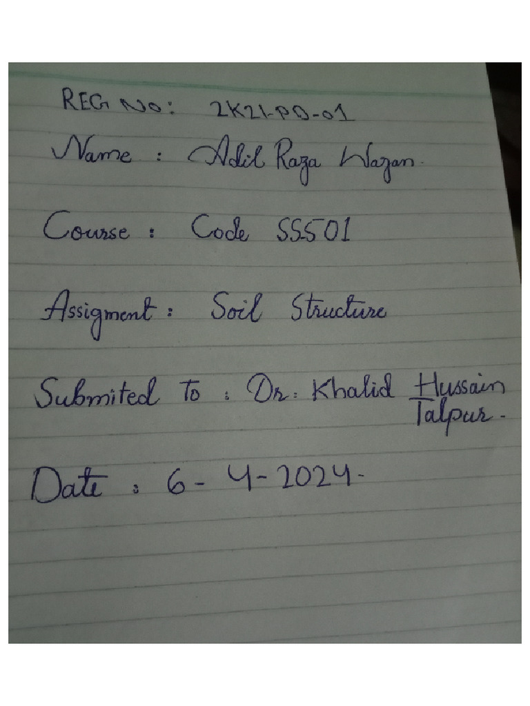 Adil Raza | PDF