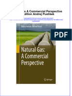 Download textbook Natural Gas A Commercial Perspective 1St Edition Andrej Pustisek ebook all chapter pdf 