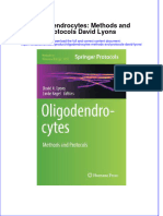 Textbook Oligodendrocytes Methods and Protocols David Lyons Ebook All Chapter PDF