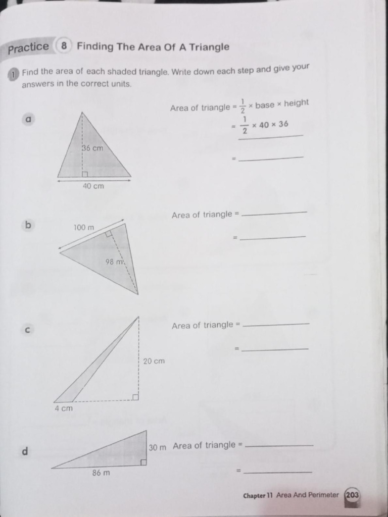 Practice 8 Finding The Area of A Triangle | PDF