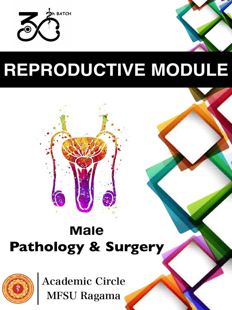 Male Reproductive Path and Surgery | PDF | Prostate | Prostate Specific ...