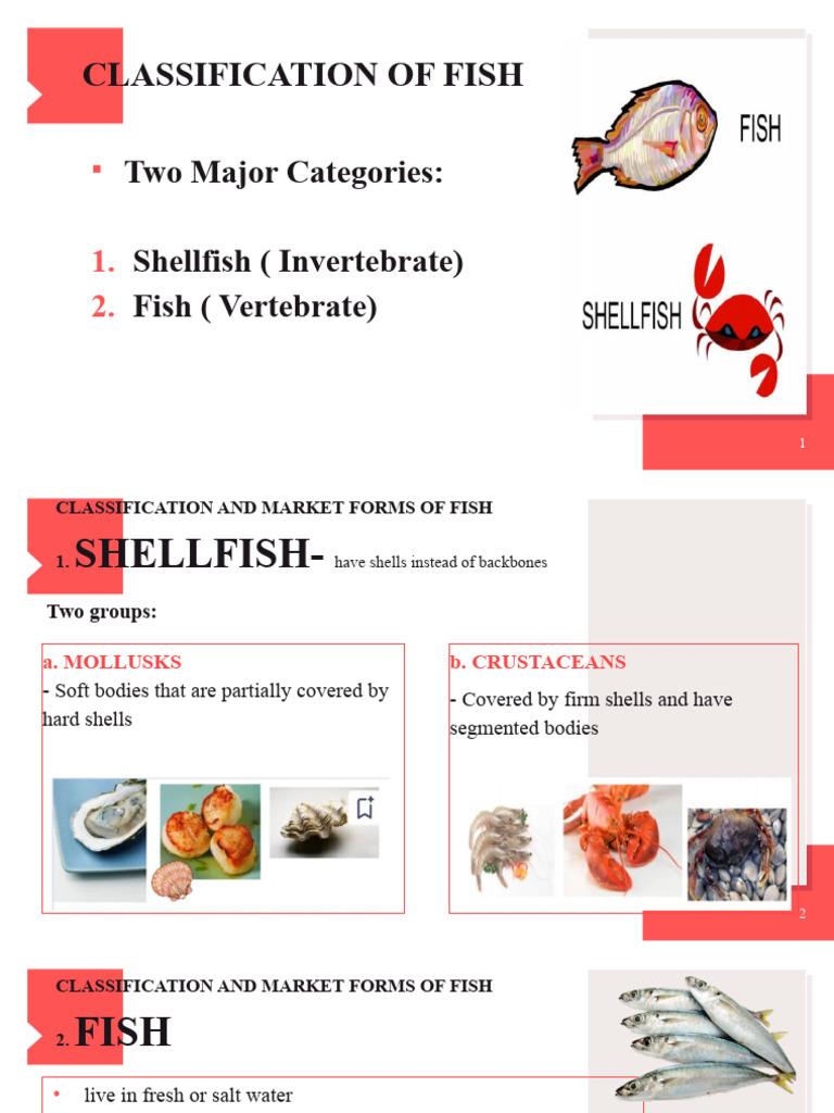 UNIT 2-Fatima | PDF | Meat | Cooking