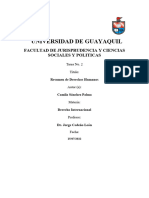 Resumen de Derechos Humanos