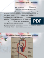 многообразие на птици