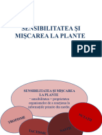sensibilitatea_si_miscarea_la_plante