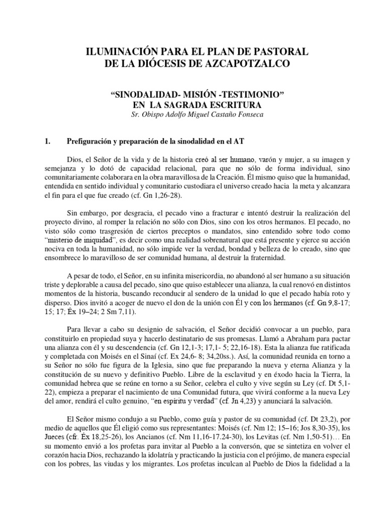 Plan Pastoral Diocesano: Sinodalidad y Misión | PDF | Iglesia Católica ...