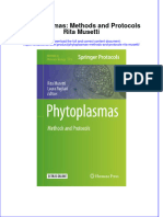 Textbook Phytoplasmas Methods and Protocols Rita Musetti Ebook All Chapter PDF