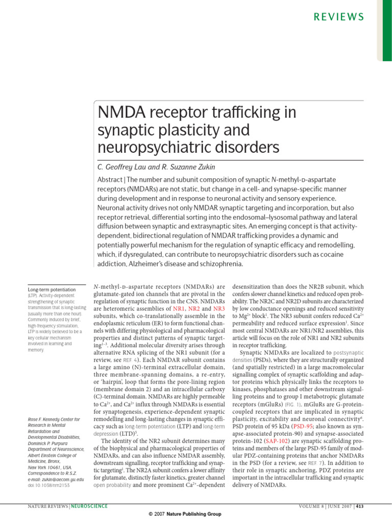 NMDA Receptor Trafficking in Synaptic Plasticity | PDF | Nmda Receptor ...