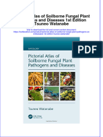 Textbook Pictorial Atlas of Soilborne Fungal Plant Pathogens and Diseases 1St Edition Tsuneo Watanabe Ebook All Chapter PDF