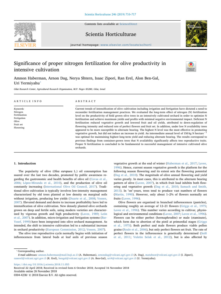 Optimal Nitrogen Fertilization for Olive Yields | PDF | Olive | Fertilizer