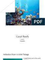 Coral Reef Form 5