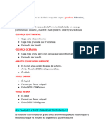 ESQUEMA BIOLOGIA TEMA  GEOSFERA Y TERRATREMOLS