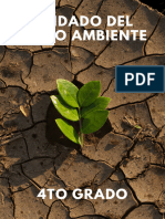 Cuidado Del Medio Ambiente