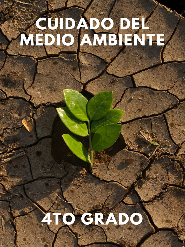 Cuidado Del Medio Ambiente | PDF | Residuos | Plantas