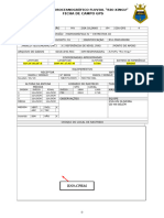 Ficha de Campo Rn1-Precursore