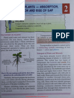 ICSE Class 8 Biology Chapter 02 Transport in Plants Absorption Conduction and Rise of SAP