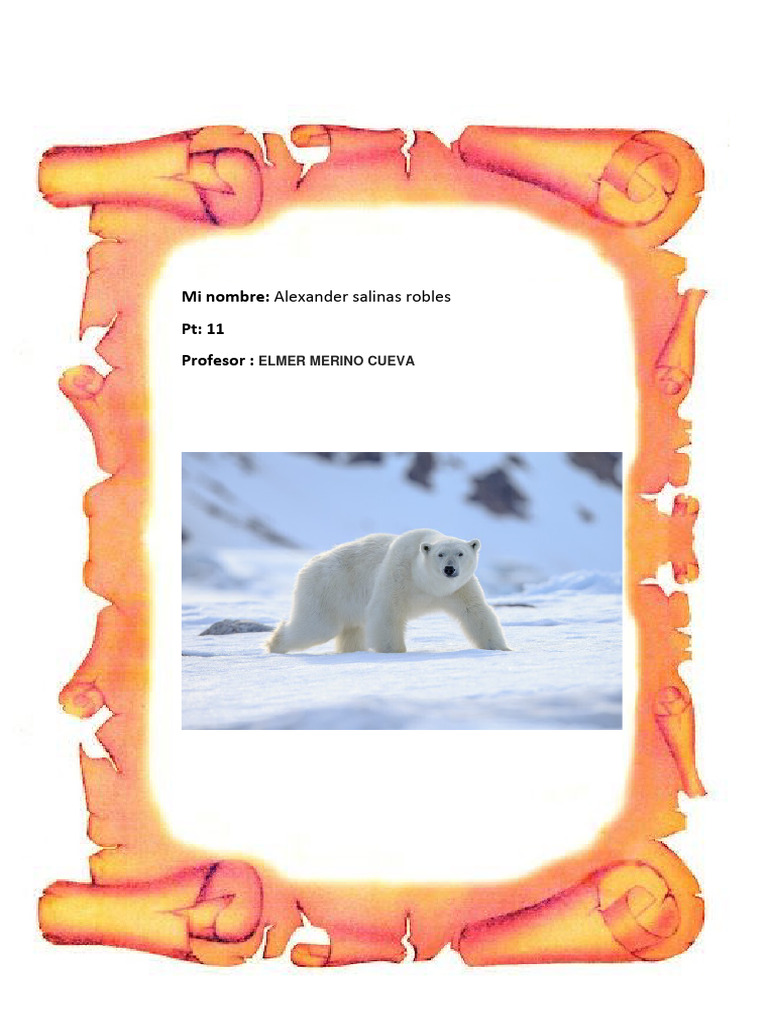 Polar Bears: Endangered by Climate Change | PDF | Polar Bear | Bears
