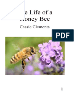Honey Bee Bheaviour