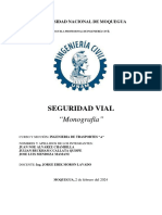 PDF [MONOGRAFÍA] SEGURIDAD VIAL