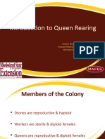 Introduction To Queen Rearing