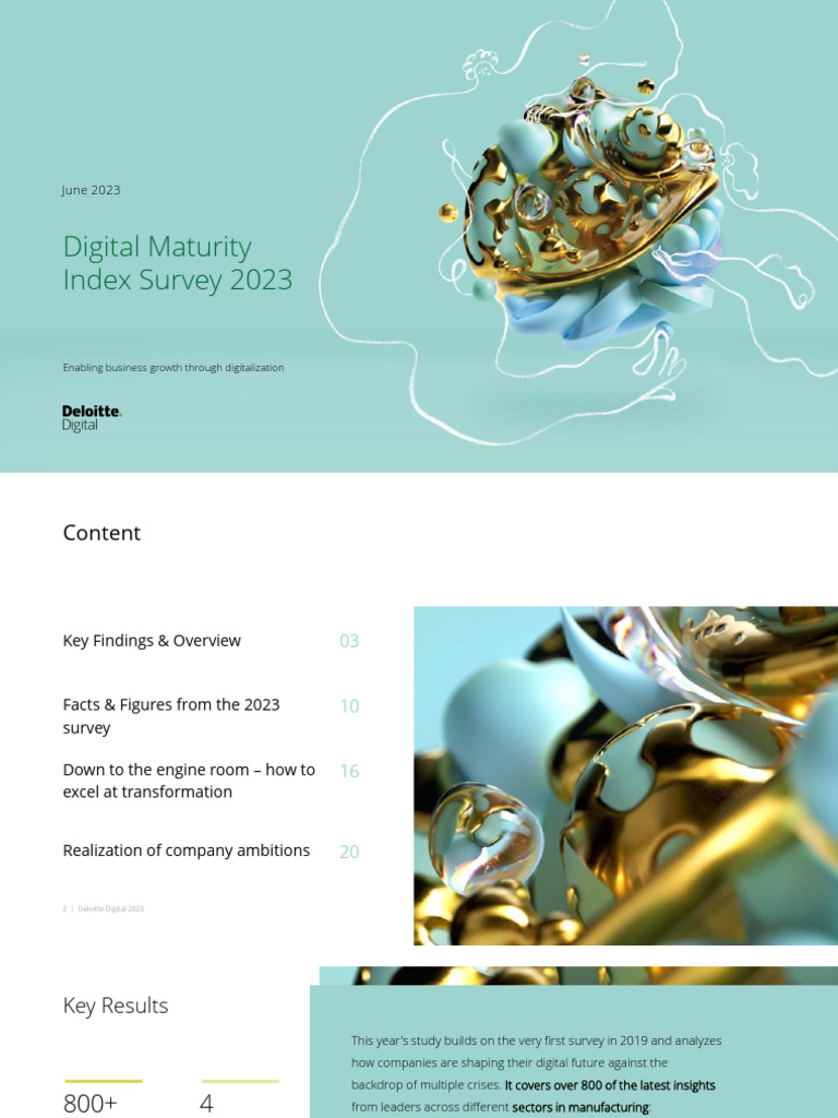 2023 Digital Maturity Index Insights | PDF | Analytics | Data
