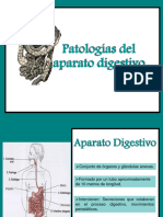 Patologías Del Aparato Digestivo