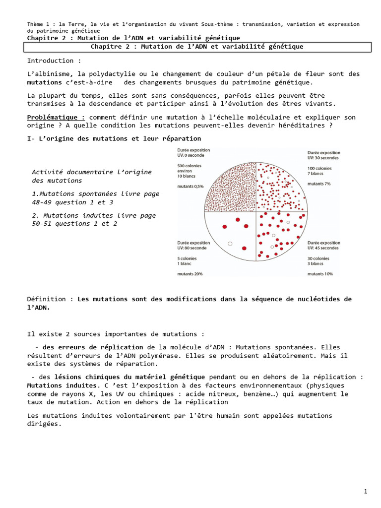 Mutations Spontanées et Variabilité Génétique | PDF | Mutation | ADN