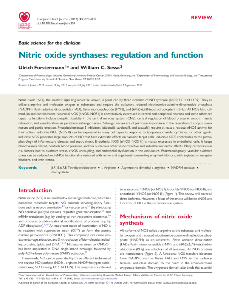 Enos 1 | PDF | Nitric Oxide Synthase | Endothelium