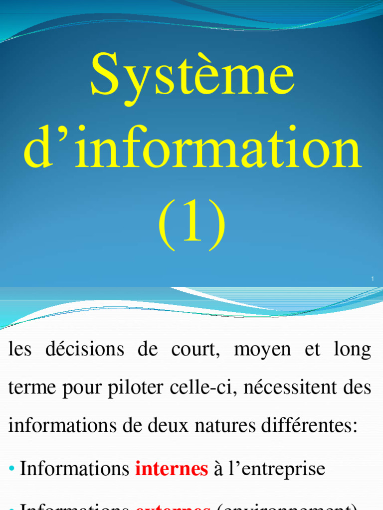 Types d'informations en gestion d'entreprise | PDF | Ordinateurs