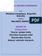 249017168 Balance Hidrico Ejercicios