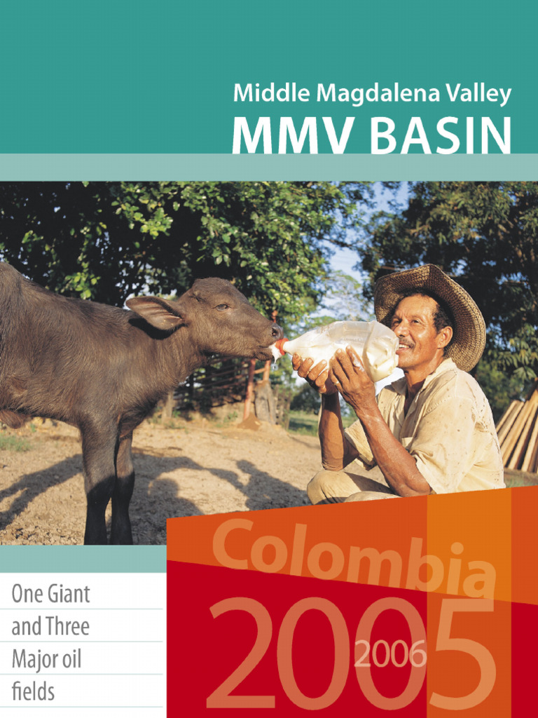 VMM PDF | PDF