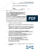 ACTA DE AUDIENCIA PREPARATORIA drp