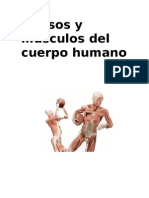 Huesos y Musculos Del Cuerpo Humano