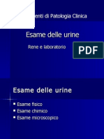 Esame Delle Urine