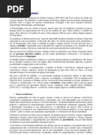 História da Humanidade