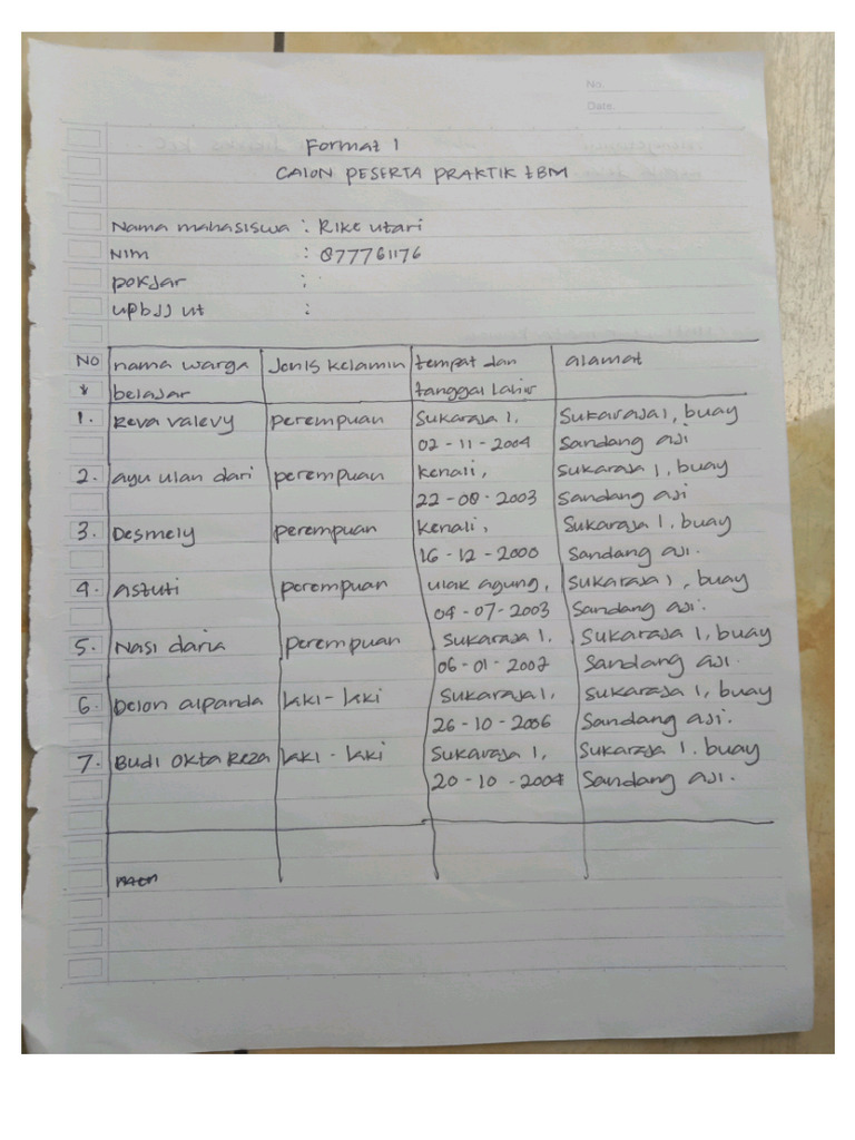 Format 1 | PDF