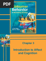 40472538 Consumer Behaviour and Marketing Strategy Peter Olson Chapter 003