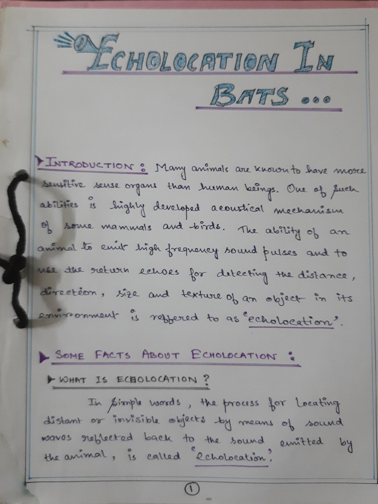 Ak script sample pdf