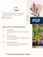 Introduction To Medicinal Plants