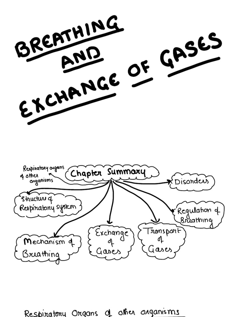 breathing-and-exchange-of-gases-hand-written-notes-pdf