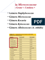 DIAPOSITIVAS_TEMA_12_1_Genero_STAPHYLOCO