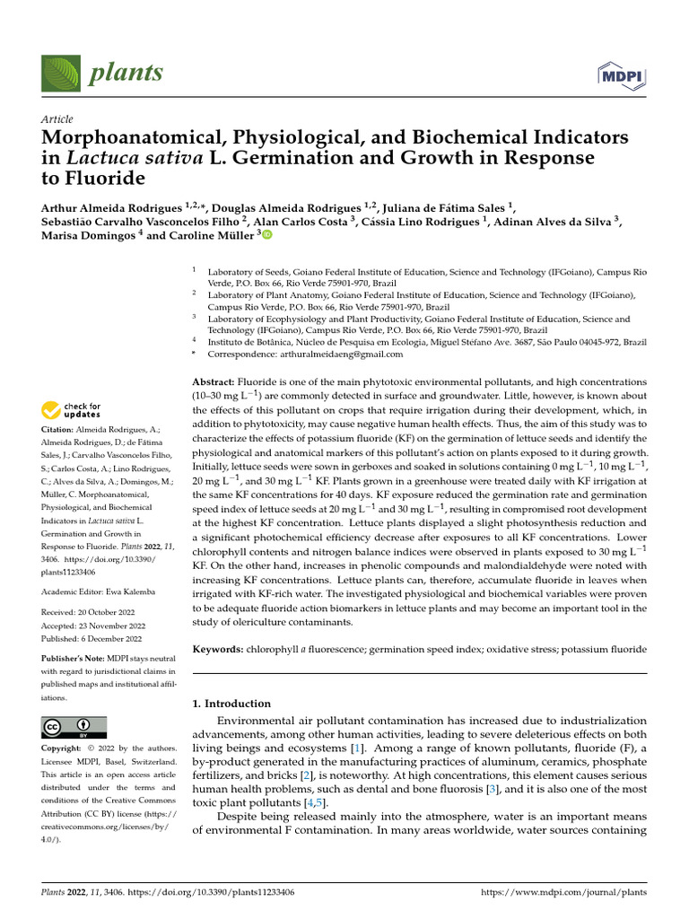 plants-11-03406-pdf-photosynthesis-foods
