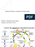 Meristema Primário e Secundário e Tecidos Simples