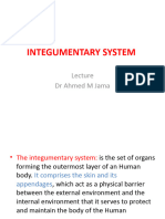 INTEGUMENTARY SYSTEM